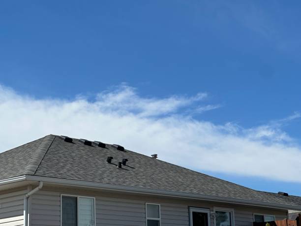 Best Chimney Flashing Repair  in San Benito, TX